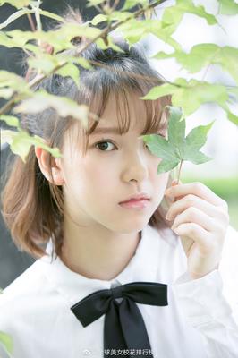 新澳门2025最精准免费_2025年免费正版资料大全,的警惕虚假宣传-全面释义、解释与落实